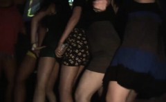 Luscious fillies get naughty in the nightclub