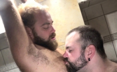 Chubby bear cocksucked during shower