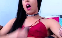 Tranny shemale sucking cock while wearing lingerie