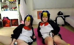 Teen penguins on cam