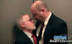Chubby Gay Bears Get Acquainted