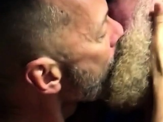 Hairy bears passionate kissing