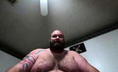 Big hairy Bear